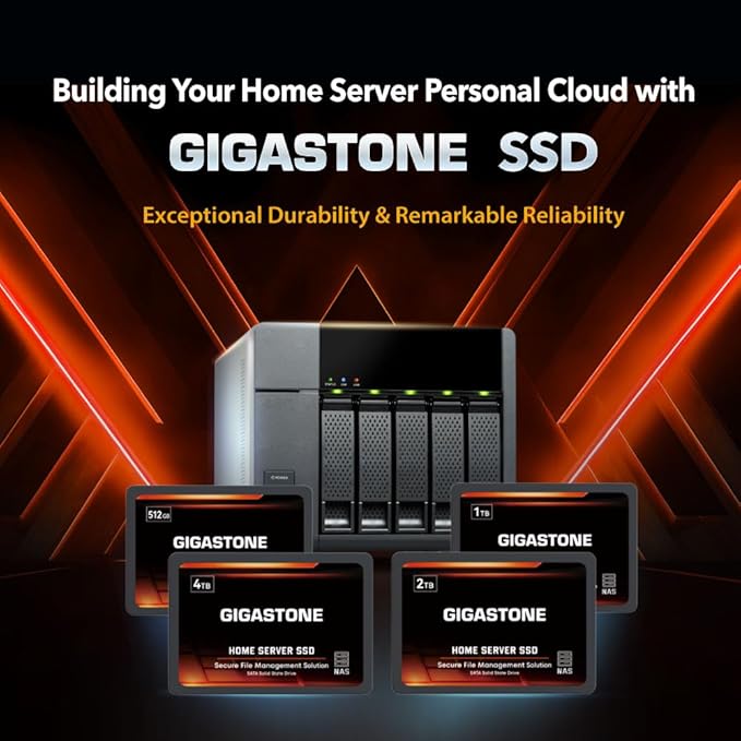 Gigastone Home Server SSD 4TB NAS SSD Drive Cache (2-Pack) 24/7 Durable High Endurance Personal Cloud Data Sync Network Attached Storage RAID 3D NAND 2.5" SATA Internal Solid State Hard Drives