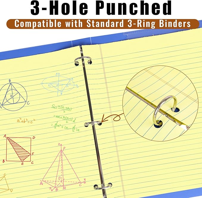 Best File Holders & Binders for Paper Organization