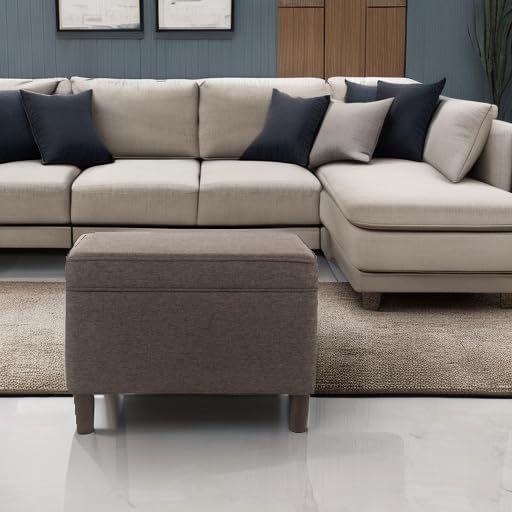 Home Decor | Dinah Collection Modern Storage Ottoman | Ottoman with Storage for Living Room & Bedroom (Chocalate Brown)