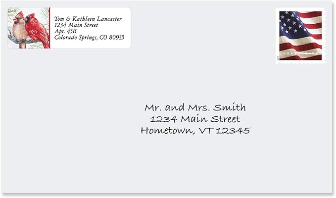 Colorful Images Garden Friends Birds Return Address Mailing Labels, Personalize with Name & Addresses, Set of 240 Self Adhesive, Easy Peel Flat Label Sheets, ⅝ x 2”, 6 Designs