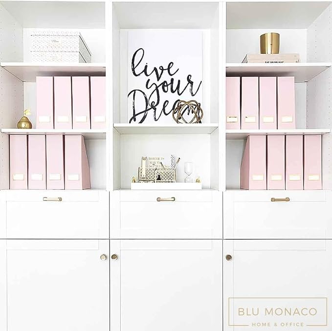 BLU MONACO Set of 6 Foldable Pink Magazine Holder with Gold Label Holders – Cute Stylish Magazine Storage for Shelves, and Closets – Book Bins, File Desk Organizer, and Document Storage