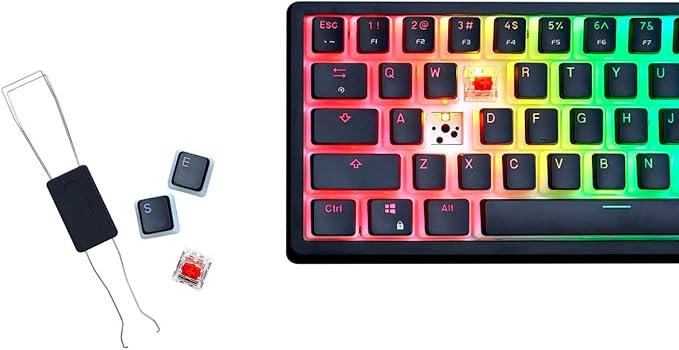 G.SKILL KM250 RGB 65% (67-Key) Mechanical Keyboard, PBT Dual Injection Keycap (Black)