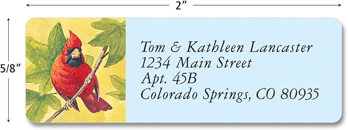 Colorful Images Birds of America Return Address Mailing Labels, Personalize with Name & Addresses, Set of 240 Self Adhesive, Easy Peel Flat Label Sheets, ⅝ inch x 2”, 12 Designs