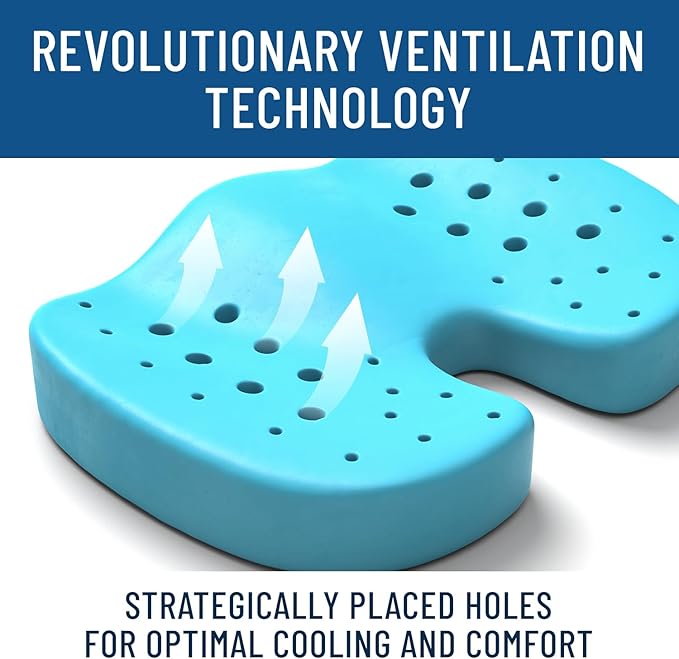 Everlasting Comfort Doctor Recommended Memory Foam Seat Cushion for Office Chairs & Car Seat - Ergonomic Office Desk Accessories for Tailbone Pain Relief, Sciatica & Back Support