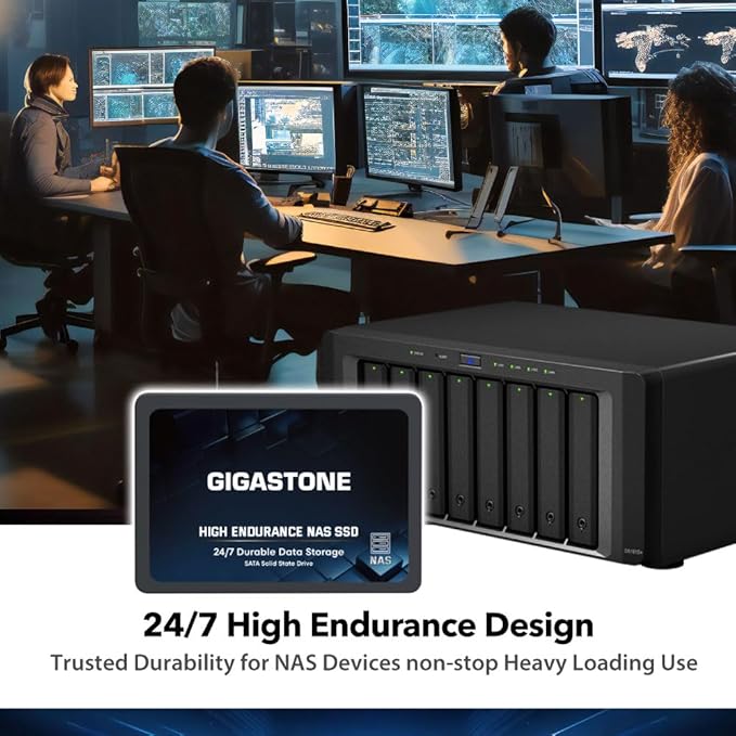 Gigastone 512GB NAS SSD Drive (2-Pack) 24/7 Durable TLC High Endurance RAID Data Storage Network Attached Storage 2.5" SATA Internal Solid State Hard Drives