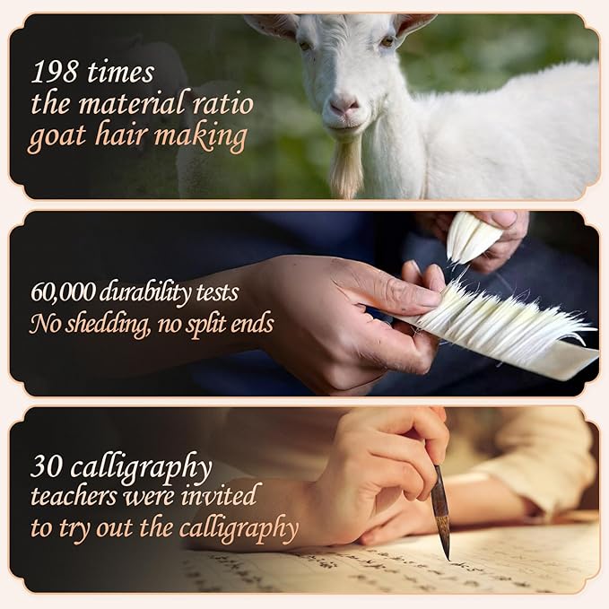 Corciosy 12 Pieces Chinese Calligraphy Brush Set - Premium Painting Writing Watercolor Sumi Brushes Set Kanji Japanese Drawing Art Brushes with Roll-up Brush Holder