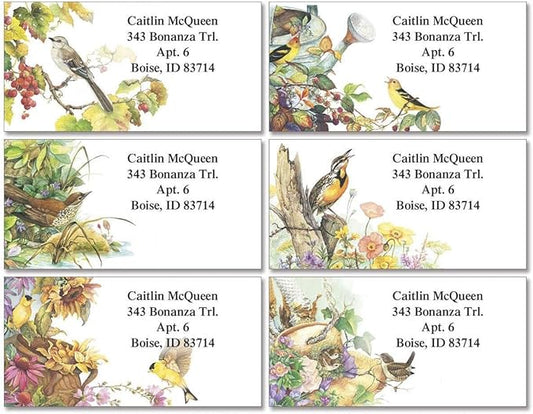 Colorful Images Songbirds Return Address Mailing Labels, Personalize with Name & Addresses, Set of 144 Self Adhesive, Easy Peel Flat Label Sheets, 1 ⅛ x 2 ¼”, 6 Designs