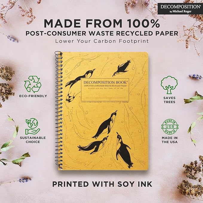 Decomposition 3-Pack Feathered Friends College Ruled Spiral Notebook - 9.75 x 7.5 Journal, 160 Lined Pages - 100% Recycled Paper - Notebooks for School Supplies, Home & Office - Made in USA