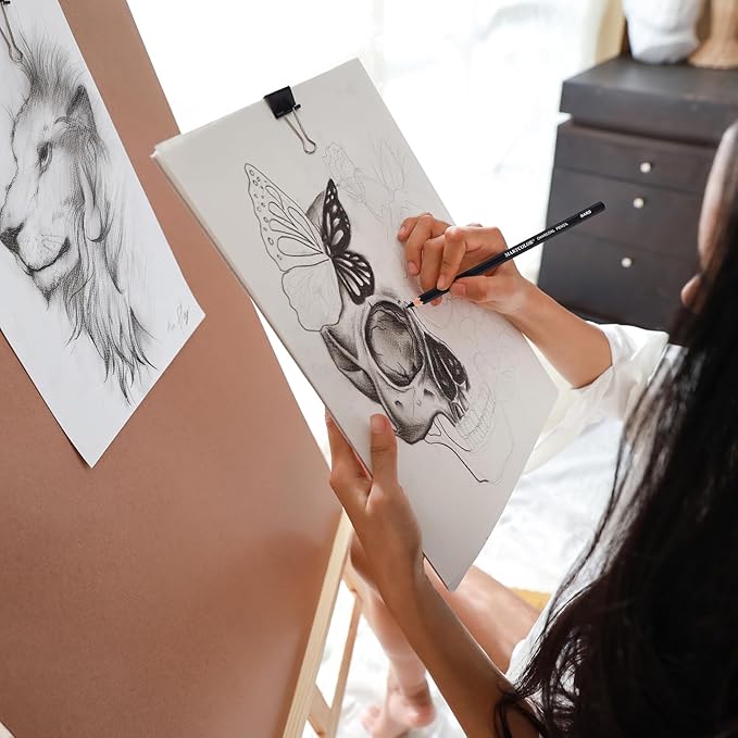 Charcoal Pencils for Drawing, 10 Pieces (S-Soft, Ex-Soft, Soft, Medium, & Hard) Black Charcoal Pencils for Sketching, Shading, Blending