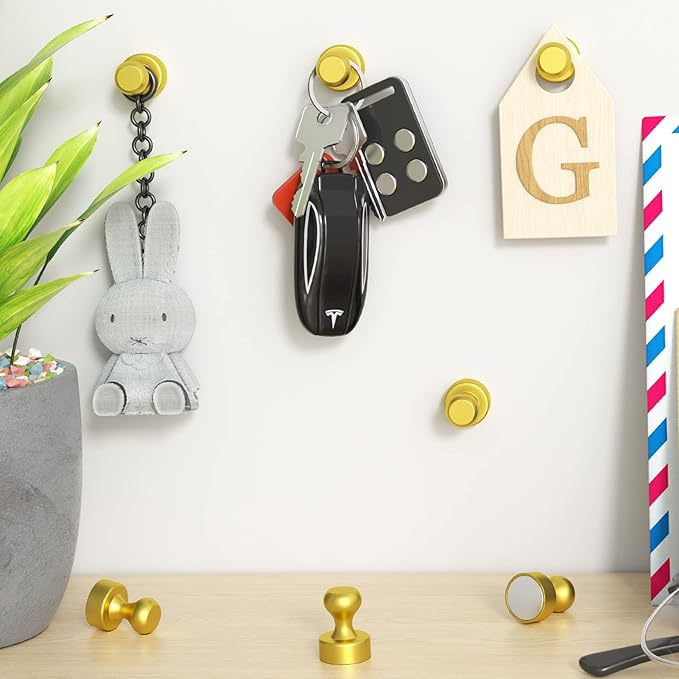 Grtard 24 Pack Magnetic Push Pins, Fridge Magnets for Whiteboard, Whiteboard Magnets Refrigerator Magnets, Small and Strong Push Pin Magnet for Office, School, Locker, and Map Magnet