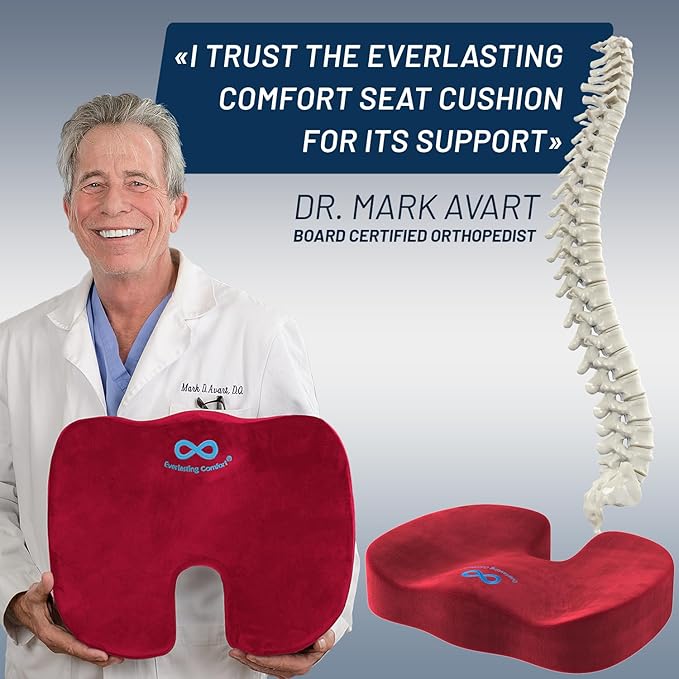 Everlasting Comfort Doctor Recommended Memory Foam Seat Cushion for Office Chairs & Car Seat - Ergonomic Office Desk Accessories for Tailbone Pain Relief, Sciatica & Back Support
