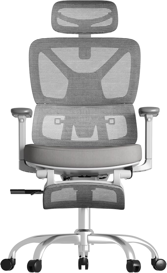 FLEXISPOT ErgoX Premium Ergonomic Office Chair with Footrest- Adjustable 3D Armrests, Dynamic Lumbar Support, Recline & Tilt Function, Mesh Seat, for Home & Office Use,Foam Grey