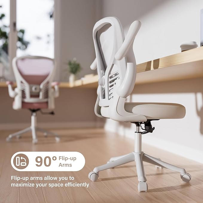 GYI Computer Desk Chair, Ergonomic Office Desk Chairs with Mesh Back, Adjustable Lumbar Support, Height, 3D Flip-up Arms, Wheels, Rocking Function (All White)