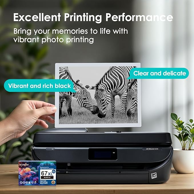EcoVictor 67XL Black Ink Cartridge Replacement for HP 67 XL (2-Pack) Compatible to HP DeskJet 2755e 2700 2700e 4155e 2752 2755 4100 4100e 2320 Envy 6055e 6000 6000e 6455e 6400 6400e 6458 6052 Printer