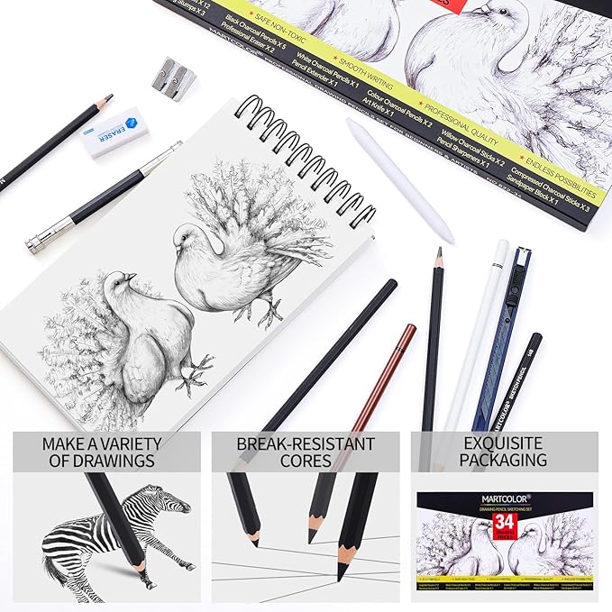 Drawing Sketching Pencils Set, 34 Pieces Pro Art Pencil Kit - Graphite Pencils (14B-4H), Charcoal Pencils, Charcoal Sticks, Artist Pencils for Beginners & Pro Artists