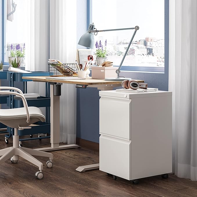 DEVAISE 2 Drawer Mobile File Cabinet with Lock, Commercial Vertical Filing Cabinet for Home Office, White