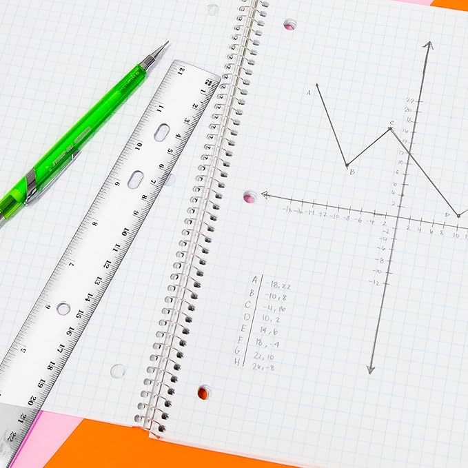 BAZIC Plastic Clear Rulers 12 inch (30cm), Inches Centimeter Metric Ruler Measuring Long Ruler, Straight Edge Ruler for Students School Supplies, 24-Pack