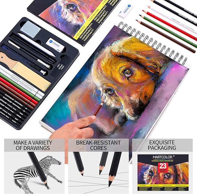 Charcoal Drawing Set, Set of 23, Graphite Pencils, Black & White Charcoal Pencils for Drawing, Sketching, Shading, Blending, Artist Pencils for Beginners & Pro Artists ﻿