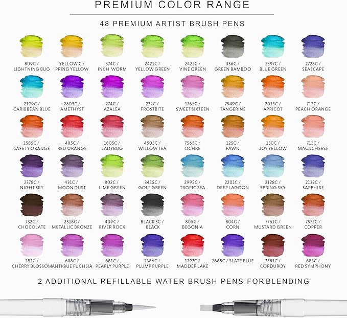 DOODLE HOG 48 Premium Watercolor Pens +2 Highly Blendable Markers, Real Brush Tip Watercolor Markers, Art Supplies for Adults, 48 Colors Gift Box
