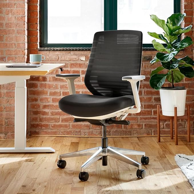 Branch Ergonomic Chair - A Versatile Desk Chair with Adjustable Lumbar Support, Breathable Mesh Backrest, and Smooth Wheels - Experience Optimal Comfort and Support - Black