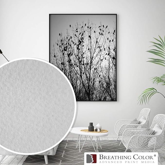 Elegance Velvet 36 in x 40 ft roll is a Premium Matte 310 gsm, Cold Pressed Bright White Museum Grade Fine Art Inkjet Paper, Compatible with Most Dye-Based and Pigment Printers