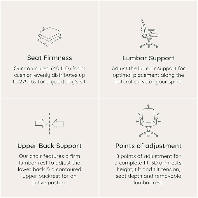 Branch Ergonomic Chair - A Versatile Desk Chair with Adjustable Lumbar Support, Breathable Mesh Backrest, and Smooth Wheels - Experience Optimal Comfort and Support - Graphite - White