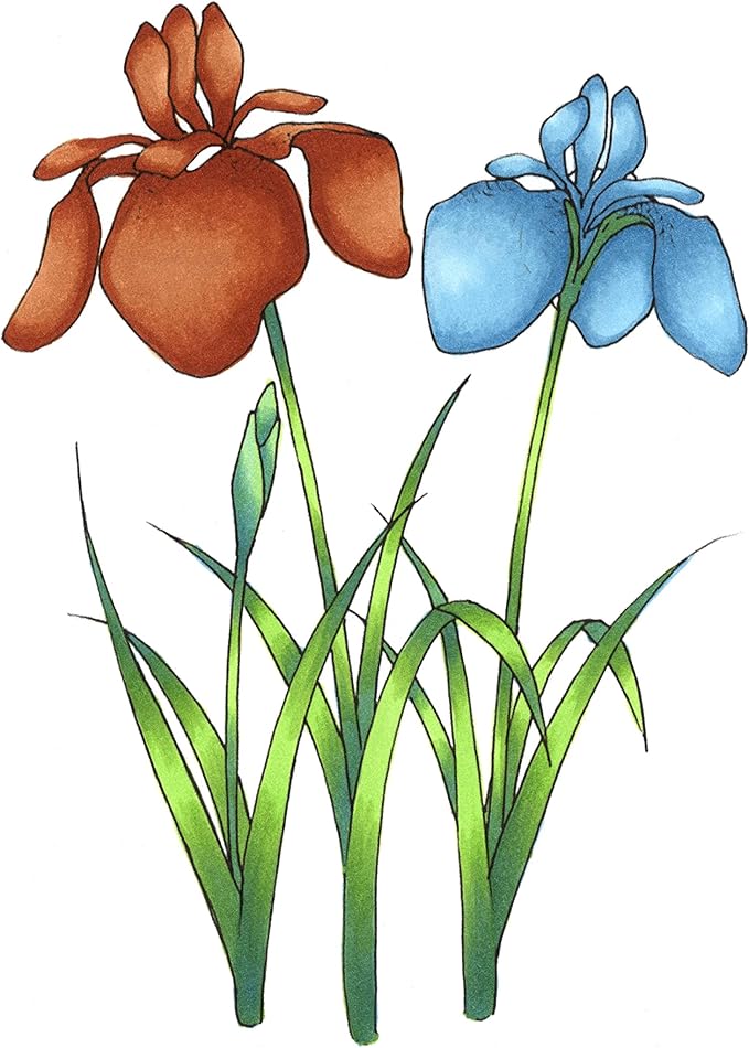 Copic Sketch Alcohol Markers, 6 Color Dual Tip Art Marker Set – Blendable Brush Tips for Drawing, Sketching, and Illustration – Professional Set for for Adult/Teen Artists & Creators - Earth Essential