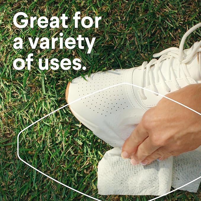 Clorox Disinfecting Wipes Value Pack, Bleach Free Cleaning Wipes, Dorm Room Essentials, 75 Count Each, Pack of 4