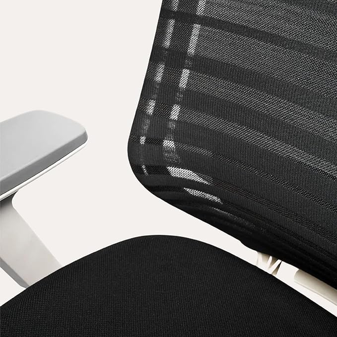 Branch Ergonomic Chair - A Versatile Desk Chair with Adjustable Lumbar Support, Breathable Mesh Backrest, and Smooth Wheels - Experience Optimal Comfort and Support - Graphite - White